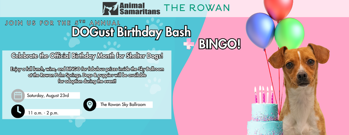 DOGust Birthday Bash & BINGO